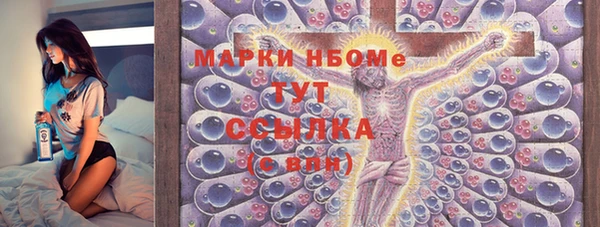 PSILOCYBIN Каменка