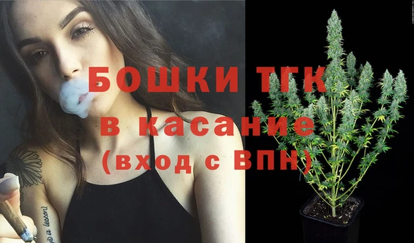 PSILOCYBIN Каменка