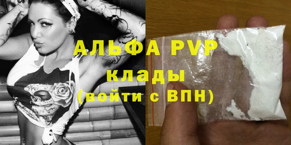 PSILOCYBIN Каменка