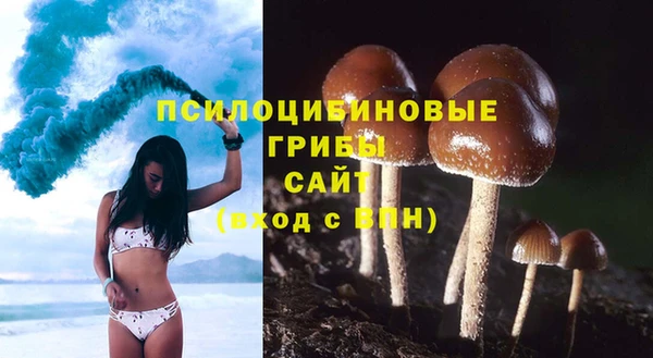 сатива Каменск-Шахтинский